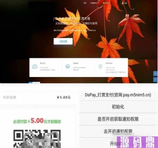 个码免签支付App监控无需输入金额+聚合支付后台源码