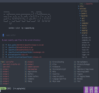 【SpaceVim v1.5.0】以模块的方式组织管理插件以及相关配置+代码自动补全+语法检查