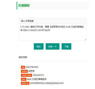 2024最新抖音解析无水印视频下载html源码