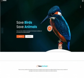 拯救鸟类拯救动物网站html5模板源码