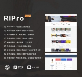 WordPress RiPro主题最新破解去授权无限制版本V4.3.0 支持支付宝