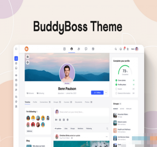 WordPress定制主题BuddyBoss v2.4.30源码-个性化程度达到新高