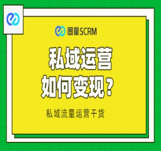 探探私域新玩法，引导私域变现，一部手机日入 500+ 很轻松